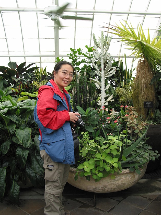 San Francisco. Conservatory of Flowers, Golden Gate Park. San Francisco. .