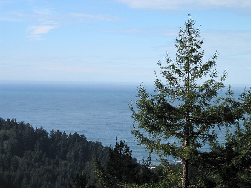 Redwood National Park. Trees of Mystery. Redwood National Park. .