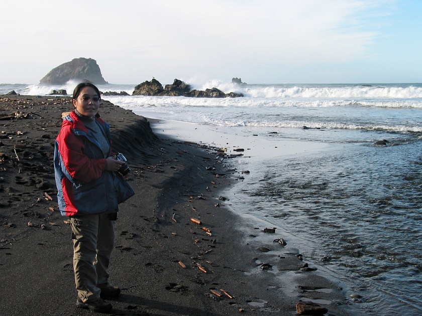 Redwood National Park. False Klamath  Cove. Redwood National Park. .