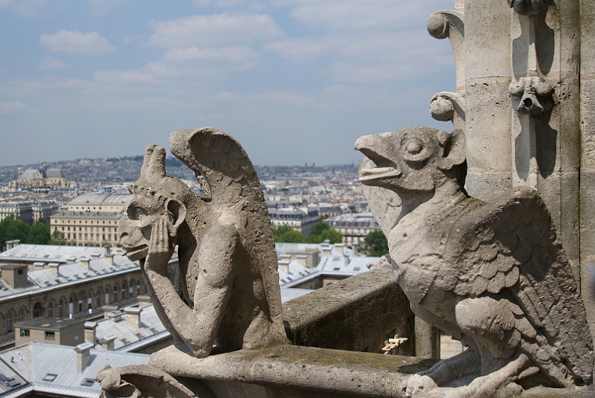 Cathédrale. View from Cathédrale de Notre Dame . Paris. .