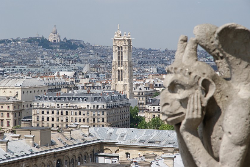 Cathédrale. View from Cathédrale de Notre Dame . Paris. .
