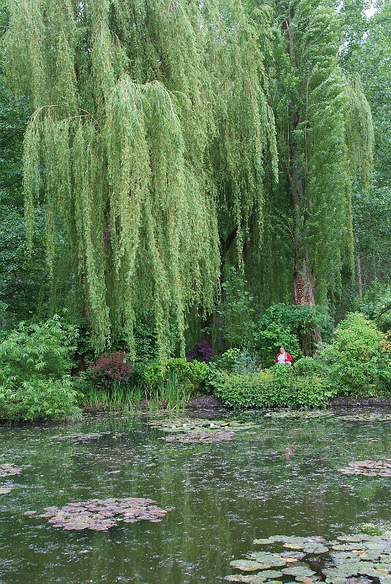 Claude Monet's Garden in Giverny. Jardin d'Eau, Claude Monet's Garden. Giverny. .