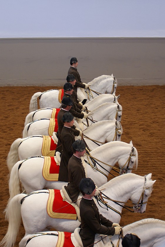 Spanish Riding School Vienna. Great School Quadrille. Vienna. .