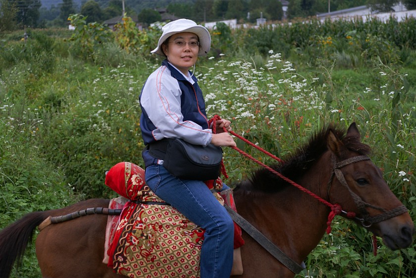 Horseback Ride on Zhonghé Shan. Ride. near Dàli. .