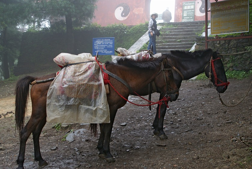 Horseback Ride on Zhonghé Shan. Arrival at the Zhonghé Sì. near Dàli. .