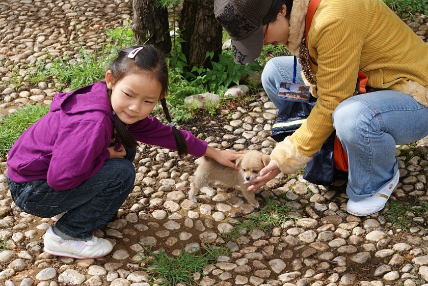 Dongba Village. Tourists. Dongba Village. .
