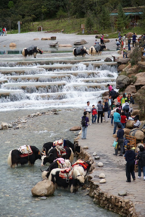 Trip to the Yùlóng Xueshan Summit. Waterfall at the base of the Yùlóng. Yùlóng Xueshan. .