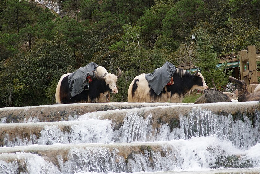 Trip to the Yùlóng Xueshan Summit. Waterfall at the base of the Yùlóng. Yùlóng Xueshan. .