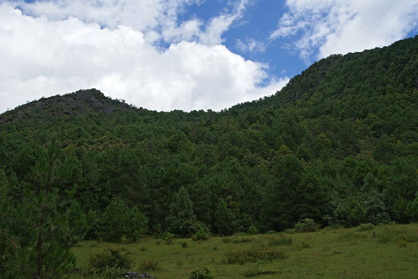 Horseback Ride on Saddle Mountain. Saddle Mountain. Saddle Mountain. .