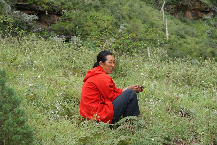 Daytrip to the Tiger Leaping Gorge. Path down to the middle rapids. Tiger Leaping Gorge. .