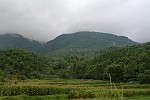 YUN025