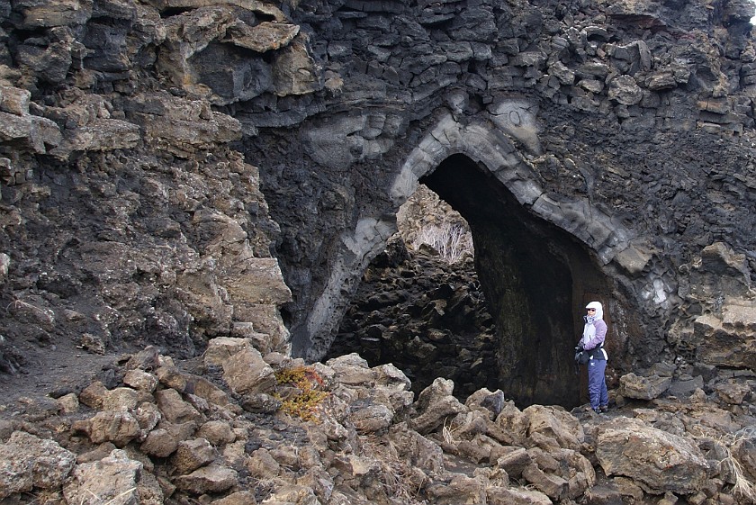 Dimmuborgir. Dome. Mývatn Region. .