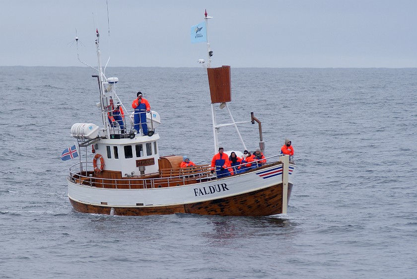 Whale Watching at Húsavík. Faldur of Gentle Giants Whale Watching. Húsavík. .
