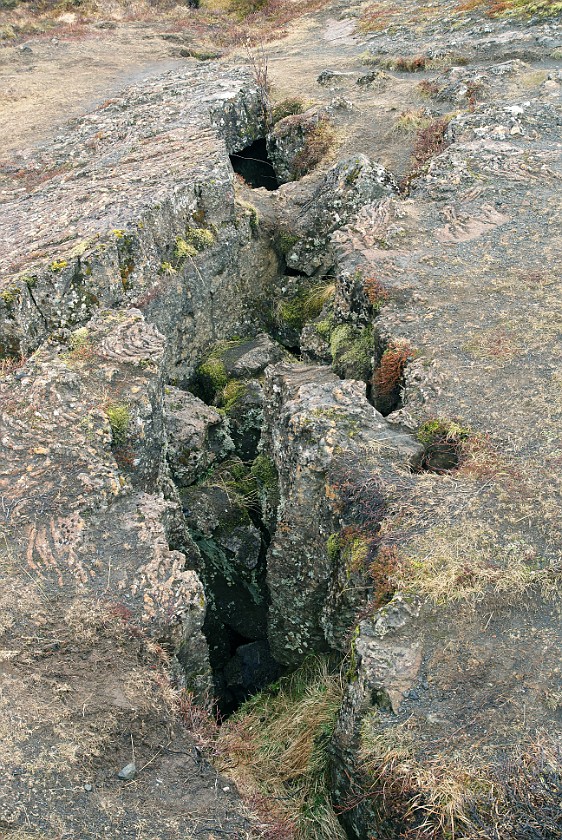 Þingvellir National Park. Fissure. near Reykjavík. .