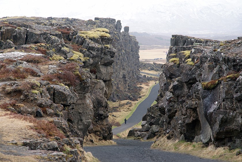 Þingvellir National Park. Almannagjá fissure. near Reykjavík. .