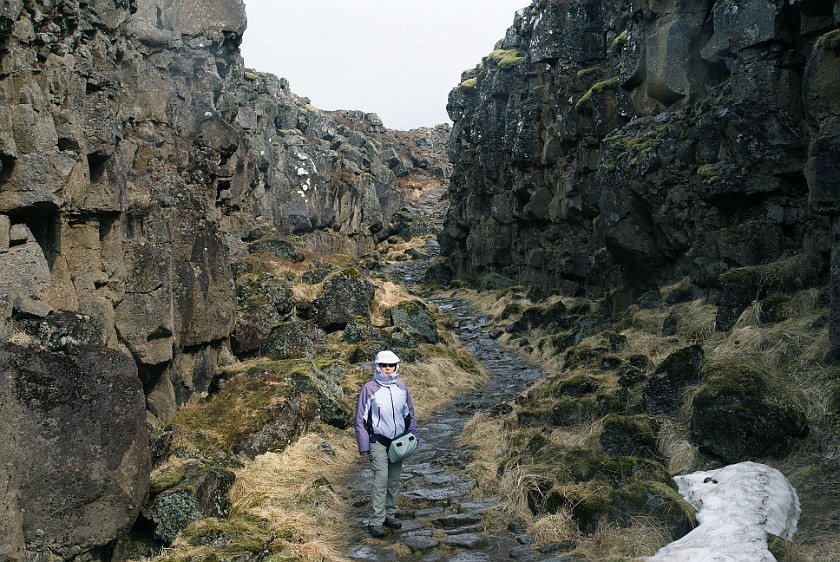Þingvellir National Park. South of the Almannagjá fissure. near Reykjavík. .