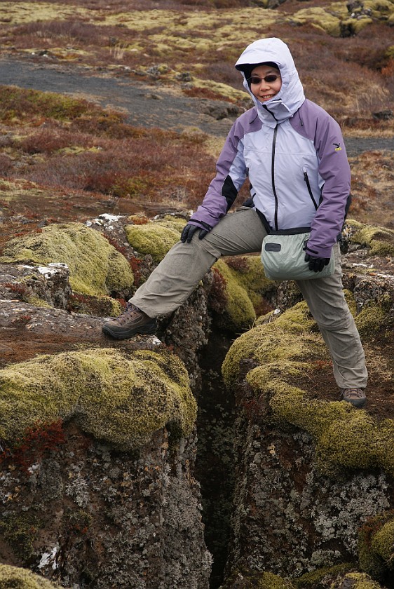 Þingvellir National Park. South of the Almannagjá fissure. near Reykjavík. .