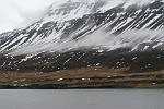 ICE020
