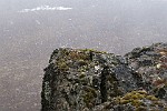ICE089