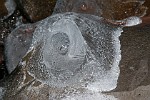 ICE201