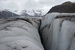 ICE231