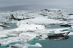 ICE280