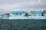 ICE281