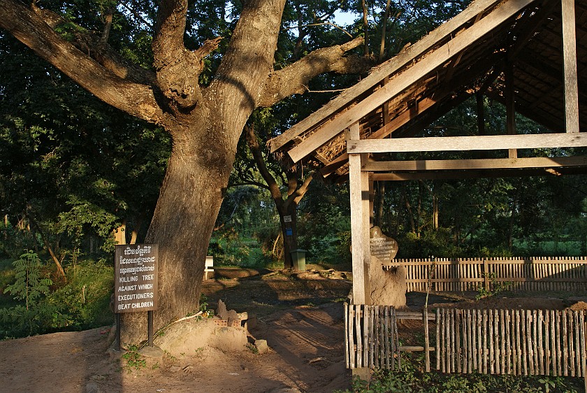 Killing Fields of Choeung Ek. Killing Tree. Phnom Penh. .
