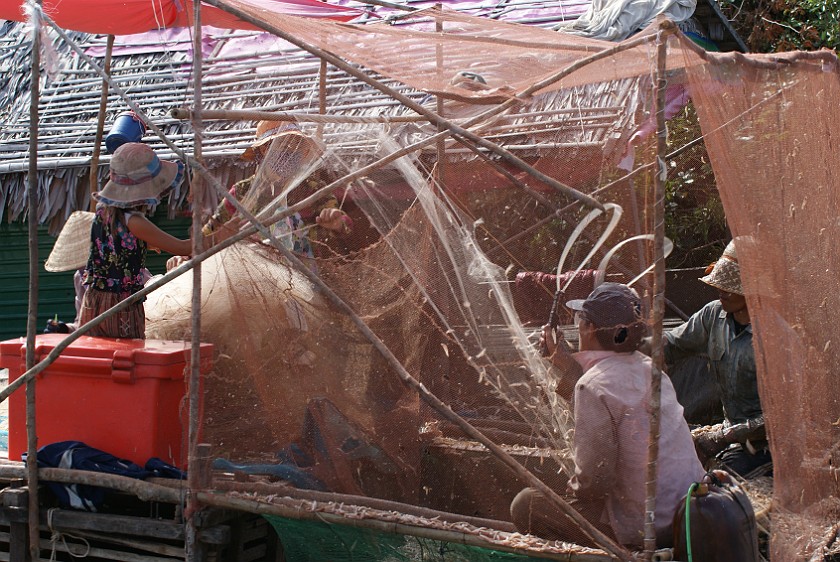 Floating Village of Chong Kneas. Fishermen at Work. Chong Kneas. .