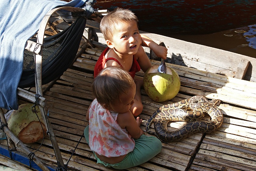 Floating Village of Chong Kneas. Children with Snake. Chong Kneas. .
