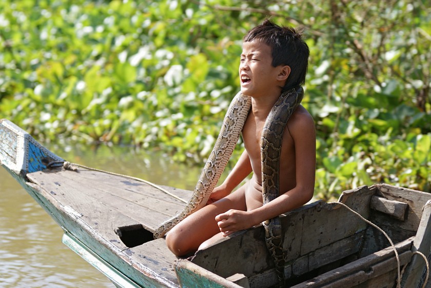 Floating Village of Chong Kneas. Child with Snake. Chong Kneas. .