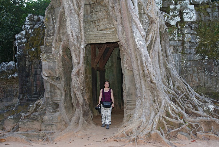 Ta Som. Entrance Overgrown by a Tree. near Siem Reap. .