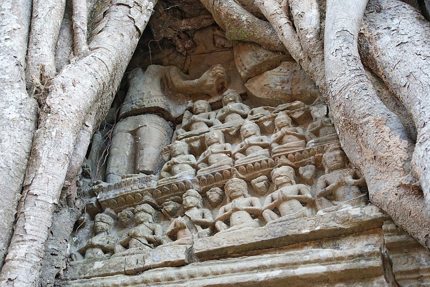 Ta Som. Relief Overgrown by a Tree. near Siem Reap. .
