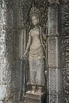 CAM109