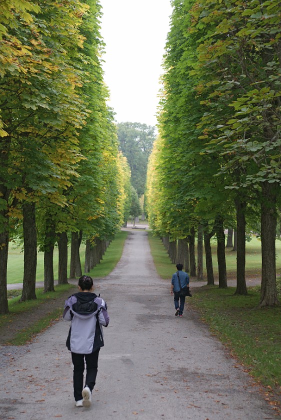 Drottningholm. Avenue to the Chinese Pavilion. Stockholm. .