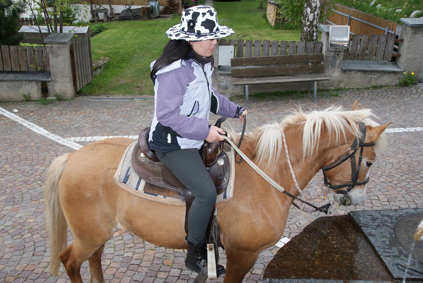 Horseback Riding in the Ahrn Valley. Portrait on Horse. near Luttach. .