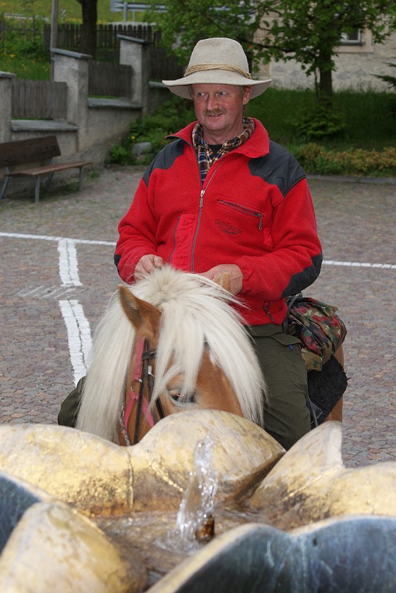 Horseback Riding in the Ahrn Valley. Guide. near Luttach. .