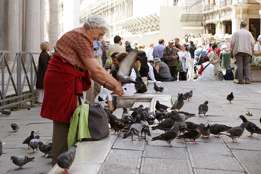 Saint Mark's Square. Pigeon Feeding. Venice. .