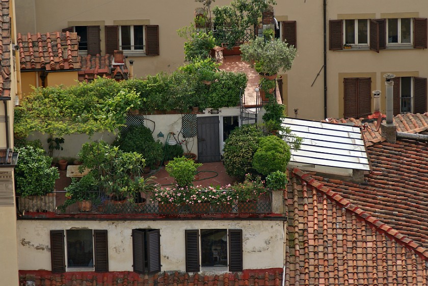 Duomo and Campanile. Roof Garden. Florence. .