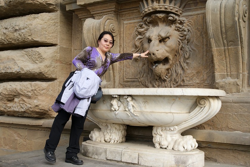 Palazzo Pitti. Well. Florence. .