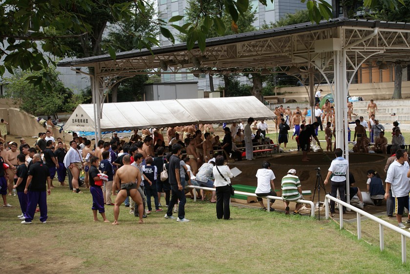 Public Sumo Wrestling. Arena. Tokyo. .