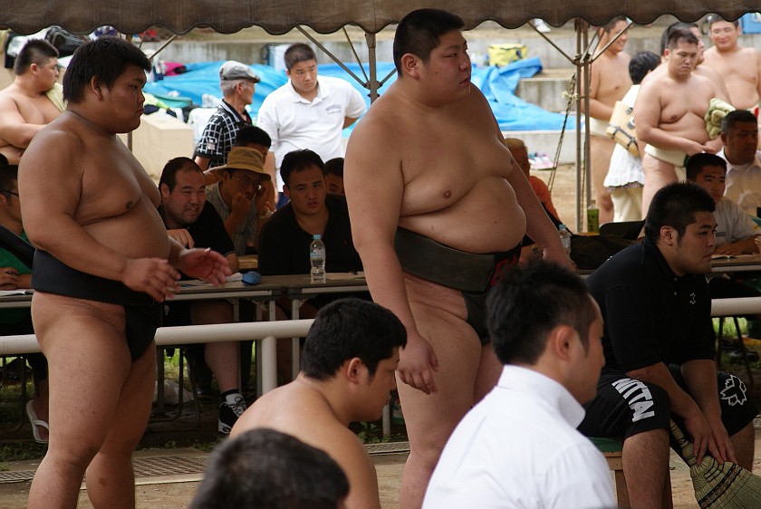 Public Sumo Wrestling. Watching Sumo Wrestlers. Tokyo. .