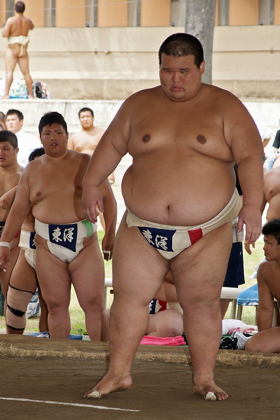 Public Sumo Wrestling. Sumo Wrestler. Tokyo. .