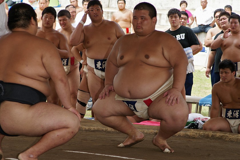 Public Sumo Wrestling. Starting Position. Tokyo. .