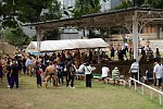 TOK028