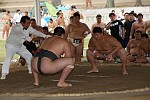 TOK029