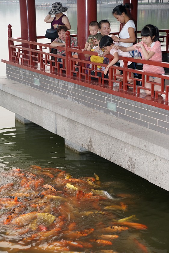 Tang Dynasty Paradise. Family Feeding Fish. Xi'an. .