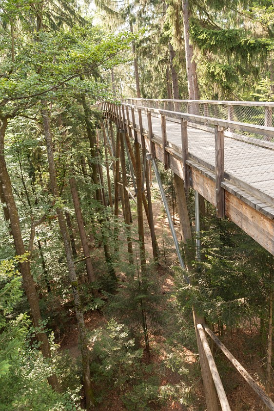 Tree Top Walk at the National Park Center Lusen. Walk among the trees. near Neuschönau. .