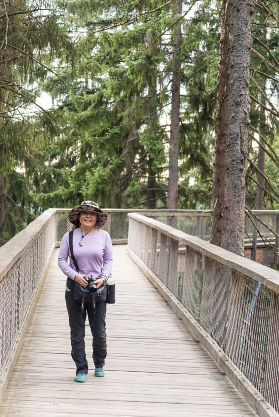 Tree Top Walk at the National Park Center Lusen. Portrait on the walk. near Neuschönau. .