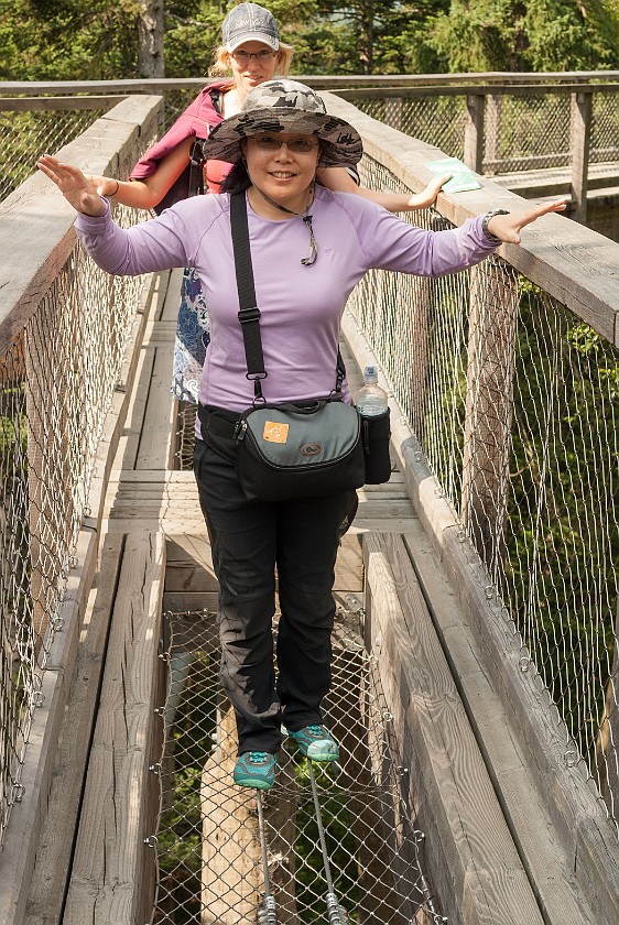 Tree Top Walk at the National Park Center Lusen. Balancing on the walk. near Neuschönau. .
